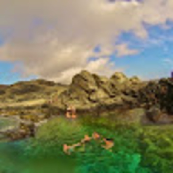 Meet your Posher, Toniann - Picture 1 of 1